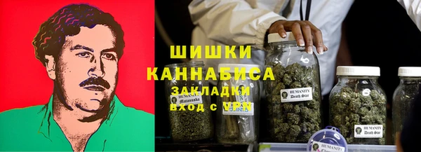 стафф Анжеро-Судженск