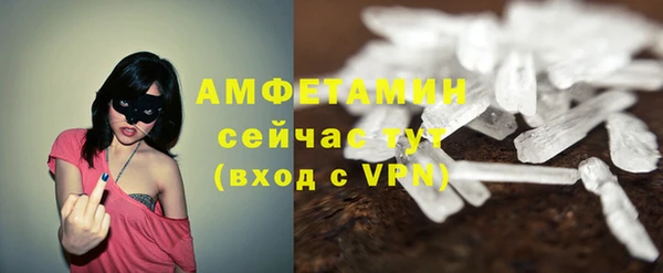 амф Верхний Тагил